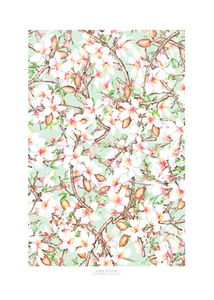 almond blossom print