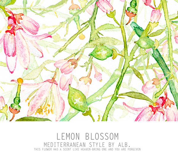 lemon blossom art print 