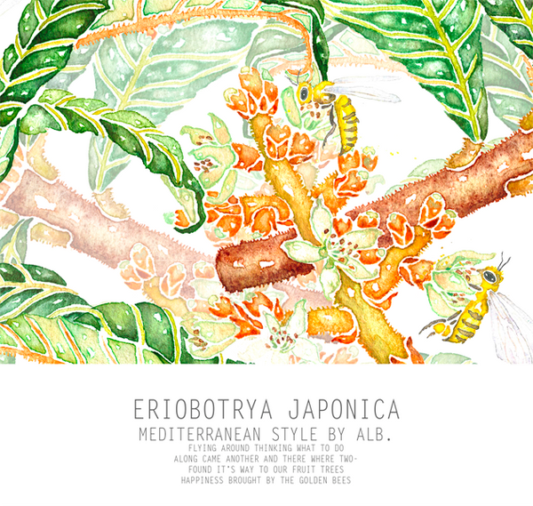 Eriobotrya Japonica wall art 