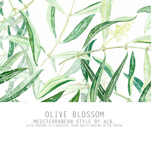 olive blossom original prints