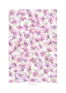 Osteospermum fruticosum printed art