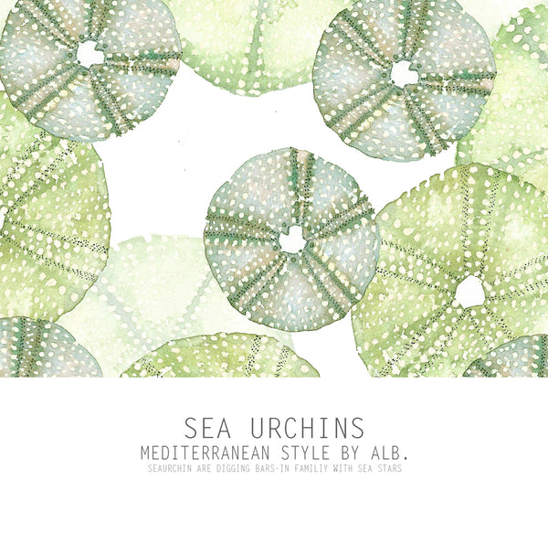 sea urchins printed art