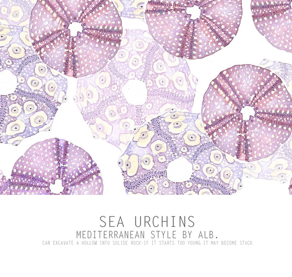 purple sea urchins original art
